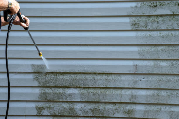 Best Foreclosure Cleanout  in Millis Clicquot, MA